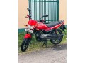 platina-100es-2017-small-1