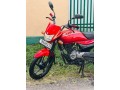 platina-100es-2017-small-4