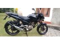 pulsar-135-small-1