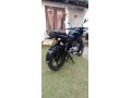 pulsar-135-small-3