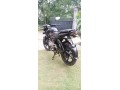 pulsar-135-small-2