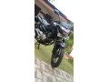 pulsar-135-small-0