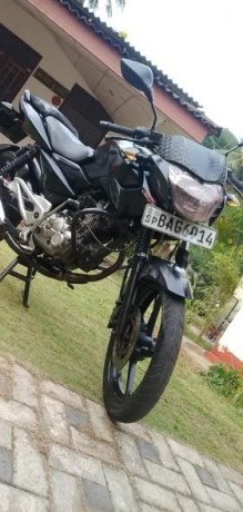 pulsar-135-big-0