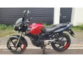 bajaj-pulser-180-2008-small-3