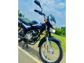 bjc-2022-small-1