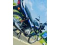 bjc-2022-small-2