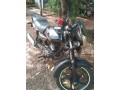 platina-100-small-3