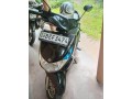 yamaha-ray-2015-small-0