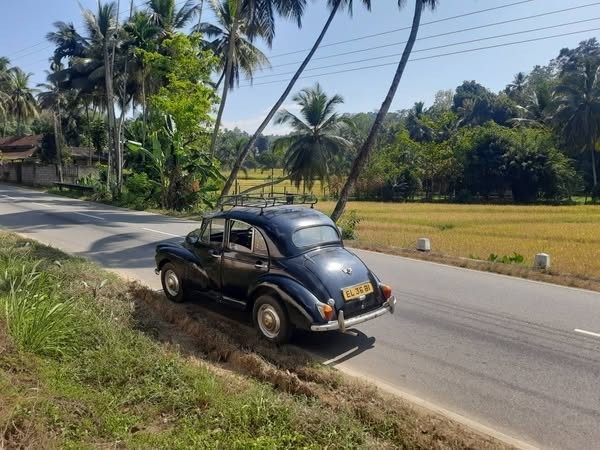 morris-minor-1953-big-4