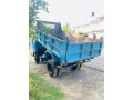 isuzu-tipper-small-1
