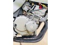 honda-hornet-small-1
