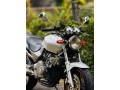 honda-hornet-small-2