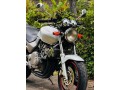 honda-hornet-small-4