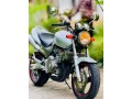 honda-hornet-small-0