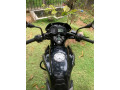 pulsar-135-small-2