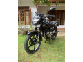 pulsar-135-small-1