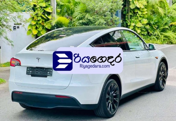tesla-model-y-2024-suv-brand-new-big-1