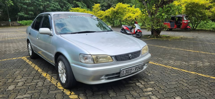 nissan-saloon-big-1