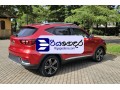 mg-zs-2019-suv-small-2