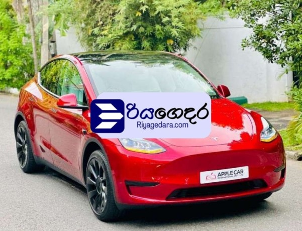tesla-model-y-2024-suv-brand-new-big-0