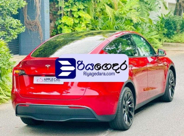 tesla-model-y-2024-suv-brand-new-big-1
