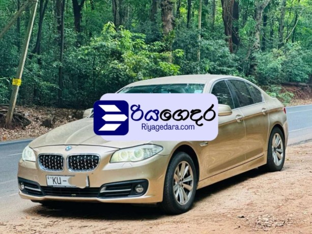bmw-520d-2012-car-big-2