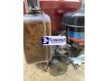 yanmar-rz190h-2013-tractor-brand-new-small-2