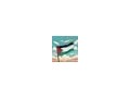 toyota-corolla-110-l-grade-crystal-light-small-5