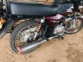 boxer-s-small-2