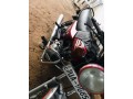 boxer-s-small-1