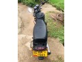 boxer-s-small-4