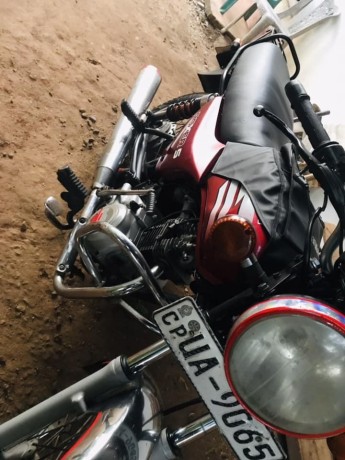 boxer-s-big-1