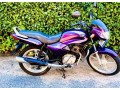 2006-tvs-star-sport-small-1