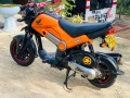 honda-navi-2019-small-1