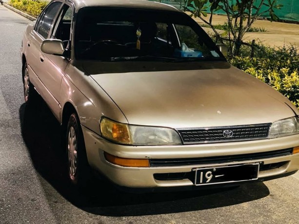 toyota-corolla-big-0