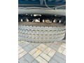 maxi-sport-special-edition-2023-small-8
