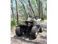 suzuki-ltz-small-3