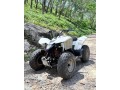 suzuki-ltz-small-2