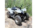 suzuki-ltz-small-1