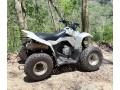 suzuki-ltz-small-0