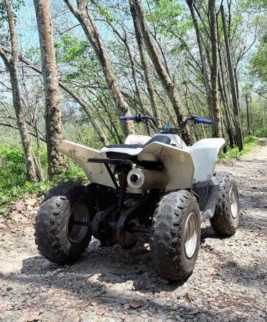 suzuki-ltz-big-3