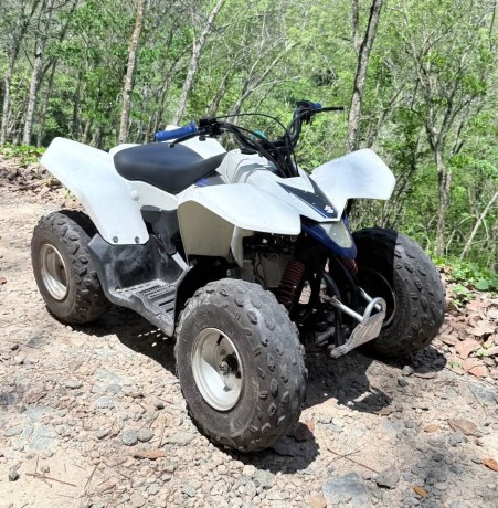 suzuki-ltz-big-1