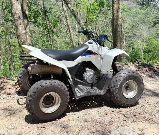 suzuki-ltz-big-0