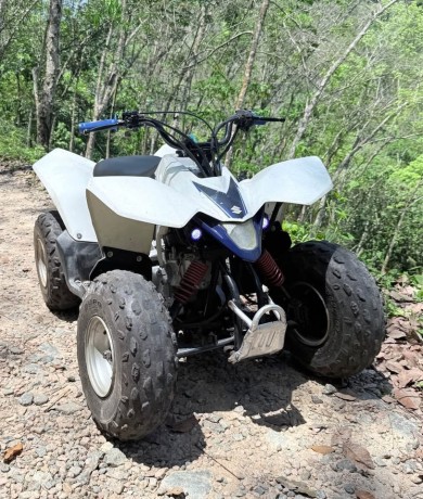 suzuki-ltz-big-4