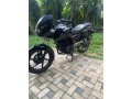 pulsar-bike-for-sale-small-4