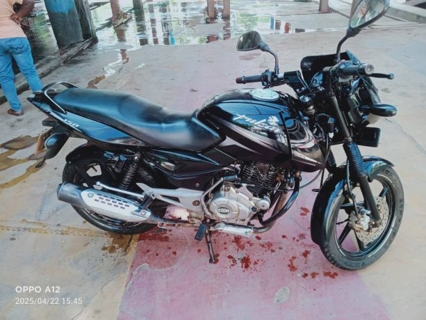 pulsar-150-2016-big-2