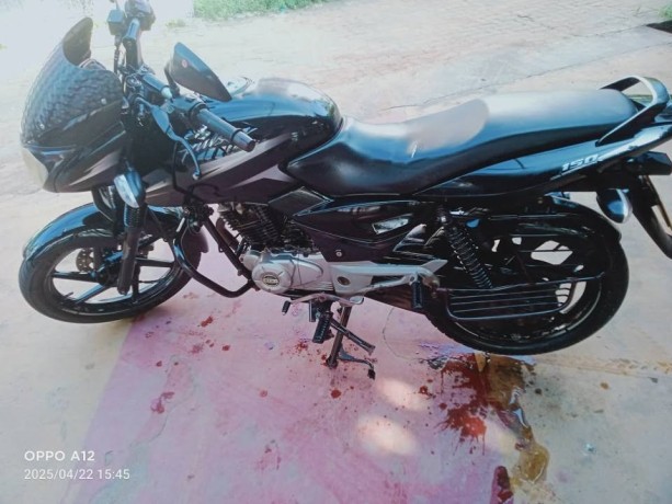 pulsar-150-2016-big-5
