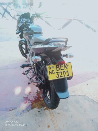 pulsar-150-2016-big-4
