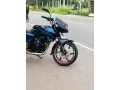 pulsar-200cc-2008-small-2