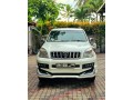 prado-120-2004-small-0